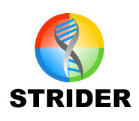 Strider GhostBuster Logo